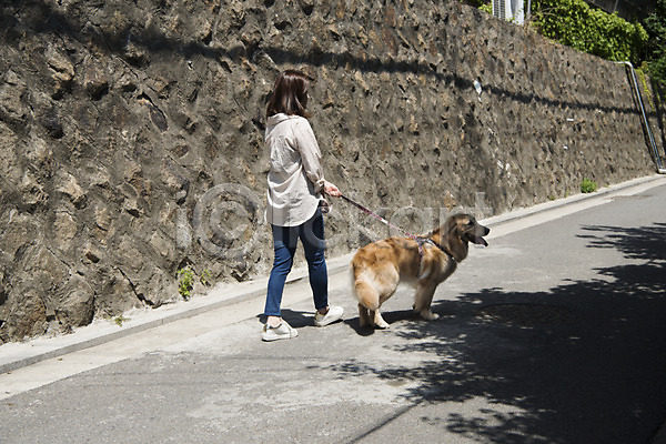 산책 20대 사람 성인 성인여자한명만 여자 한국인 한명 JPG 뒷모습 포토 강아지 골든리트리버 목줄 반려 반려동물 야외 잡기 전신 주간 펫팸족 한마리