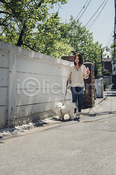 산책 20대 사람 성인 성인여자한명만 여자 한국인 한명 JPG 앞모습 포토 강아지 목줄 반려 반려동물 비숑프리제 아이스크림 야외 잡기 전신 주간 펫팸족 한마리