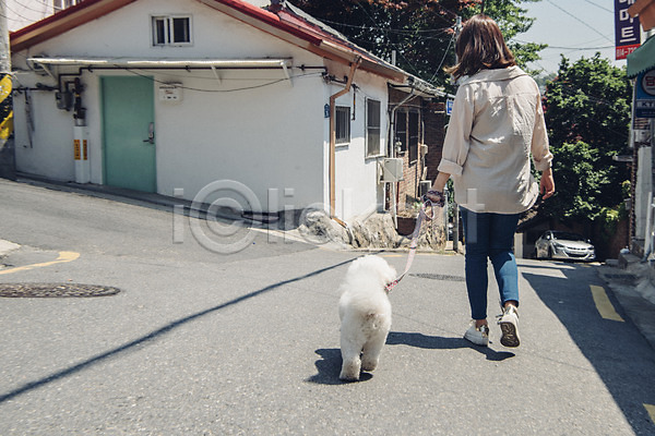 산책 20대 사람 성인 성인여자한명만 여자 한국인 한명 JPG 뒷모습 포토 강아지 목줄 반려 반려동물 비숑프리제 야외 잡기 전신 주간 주택 펫팸족 한마리