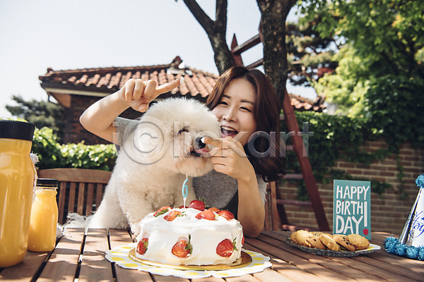 즐거움 20대 사람 성인 성인여자한명만 여자 한국인 한명 JPG 앞모습 포토 강아지 바르기 반려 반려동물 비숑프리제 상반신 생일상 생일케이크 생일파티 생크림 야외 장난 주간 쿠키 펫팸족 한마리