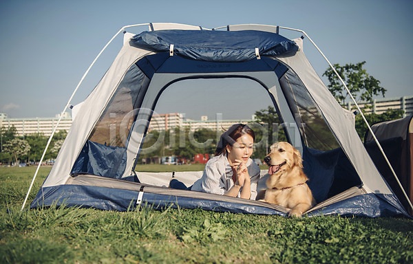 20대 사람 성인 성인여자한명만 여자 한국인 한명 JPG 앞모습 포토 강아지 골든리트리버 공원 반려 반려동물 상반신 소풍 야외 엎드리기 잔디 주간 텐트 펫팸족 한마리