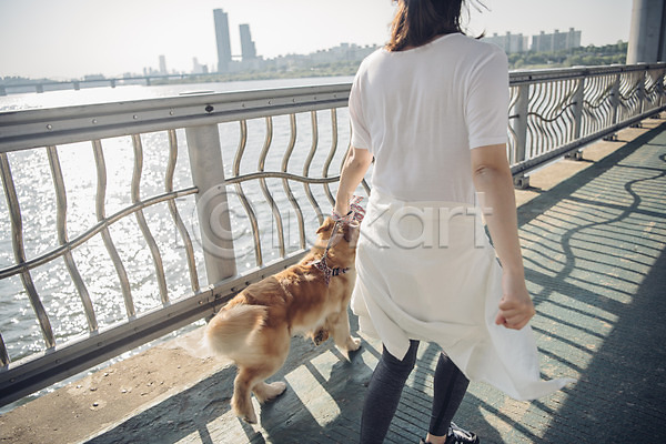 20대 사람 성인 성인여자한명만 여자 한국인 한명 JPG 뒷모습 포토 강 강아지 걷기 골든리트리버 난간 다리 목줄 반려 반려동물 야외 운동 잡기 전신 주간 펫팸족 한마리