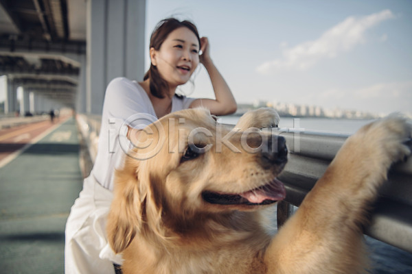 20대 사람 성인 성인여자한명만 여자 한국인 한명 JPG 근접촬영 앞모습 포토 강 강아지 골든리트리버 구름(자연) 난간 다리 다리들기 반려 반려동물 상반신 야외 주간 펫팸족 하늘 한마리