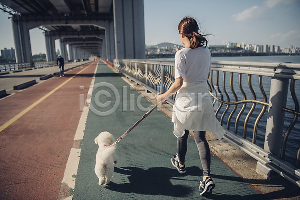 20대 사람 성인 성인여자한명만 여자 한국인 한명 JPG 뒷모습 포토 강 강아지 걷기 구름(자연) 난간 다리 목줄 반려 반려동물 비숑프리제 야외 운동 전신 조깅 주간 차도 펫팸족 하늘 한마리