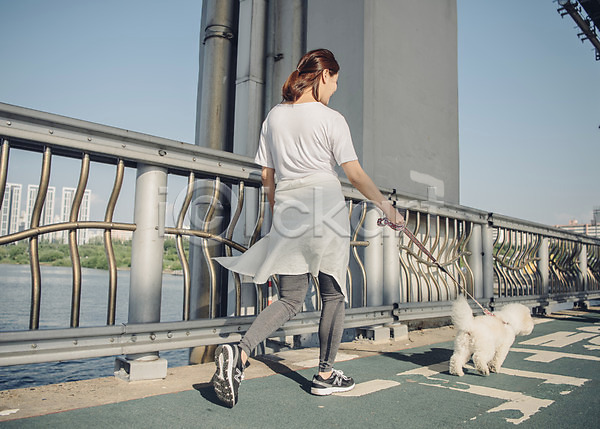 20대 사람 성인 성인여자한명만 여자 한국인 한명 JPG 뒷모습 포토 강 강아지 걷기 난간 다리 목줄 반려 반려동물 비숑프리제 야외 운동 전신 주간 펫팸족 한마리