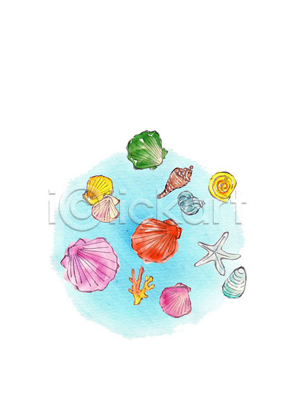 사람없음 PSD 일러스트 다양 불가사리 산호초 소라 수채화(물감) 여름(계절) 조개