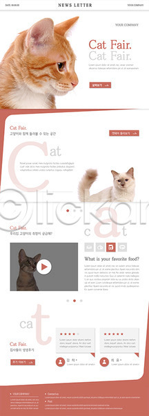 사람없음 PSD ZIP 뉴스레터 웹템플릿 템플릿 고양이 동영상 반려 반려동물 세마리 세트 페어