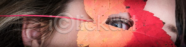 사람없음 JPG 포토 해외이미지 가면 가을 계절 관찰 노려봄 단풍 닫기 붓꽃 비전 빨간색 속눈썹 숨기 스파이 시력 엿보기 응시 잎 자연 코 학생 해외202004 해외포토