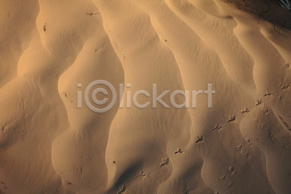 사람없음 JPG 포토 해외이미지 갈색 모래 발자국 백그라운드 사막 사하라 사하라사막 야외 주간 풍경(경치) 해외202004