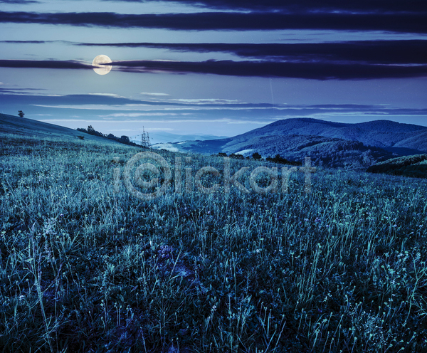 사람없음 JPG 포토 해외이미지 달 보름달 야간 야외 초원(자연) 파란색 풍경(경치) 하늘 해외202004