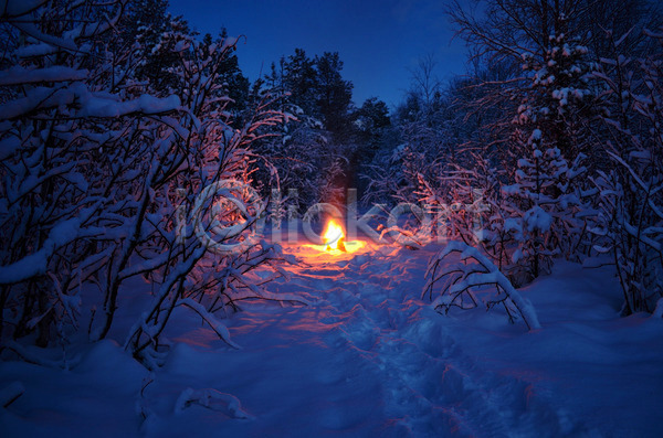 사람없음 JPG 포토 해외이미지 겨울 겨울풍경 눈덮임 모닥불 숲속 야간 야외 자연 해외202004