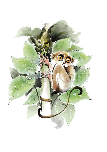 사람없음 PSD 일러스트 나뭇가지 나뭇잎 동물 번짐 붓터치 안경원숭이 잡기 캘리그라피 한마리