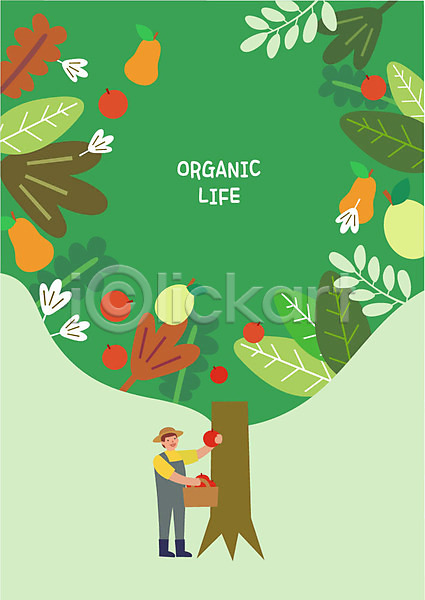 남자 사람 성인 한명 AI(파일형식) 일러스트 과수원 과일나무 나뭇가지 나뭇잎 농부 담기 라이프스타일 미소(표정) 바구니 배 사과 사과나무 수확 유기농 전신