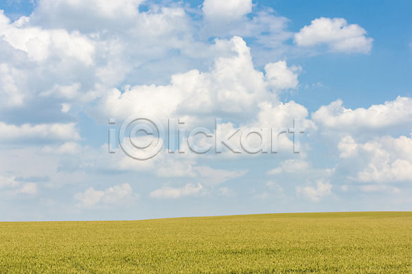 사람없음 JPG 포토 구름(자연) 맑음 모라비아 보리 보리밭 야외 여행 유럽 자연 주간 체코 초원(자연) 풍경(경치) 하늘 해외 해외풍경