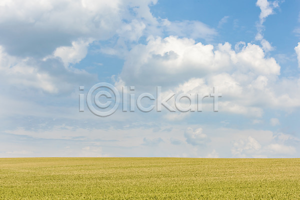 사람없음 JPG 포토 구름(자연) 맑음 모라비아 보리 보리밭 야외 여행 유럽 자연 주간 체코 초원(자연) 풍경(경치) 하늘 해외 해외풍경