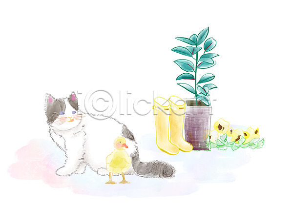 감성 사람없음 PSD 일러스트 고양이 두마리 들꽃 반려 반려동물 병아리 수채화(물감) 오브젝트 응시 일상 장화 풍경(경치) 화분