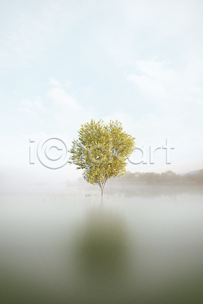 사람없음 PSD 디지털합성 편집이미지 가을(계절) 가을풍경 계절 구름(자연) 나무 반사 백그라운드 숲 자연 풍경(경치) 하늘 한그루 호수