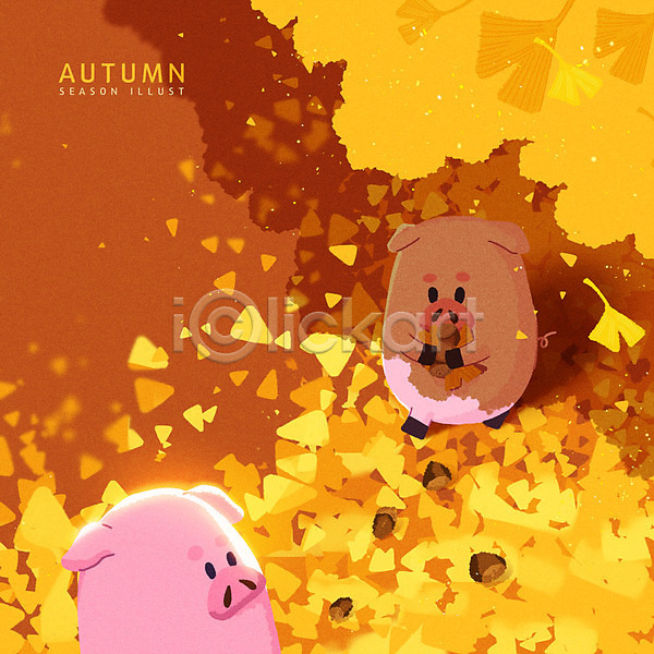 떨어짐 사람없음 PSD 일러스트 가을(계절) 노란색 단풍나무 도토리 돼지 돼지캐릭터 두마리 밤(견과류) 은행나무 은행잎 잡기 캐릭터