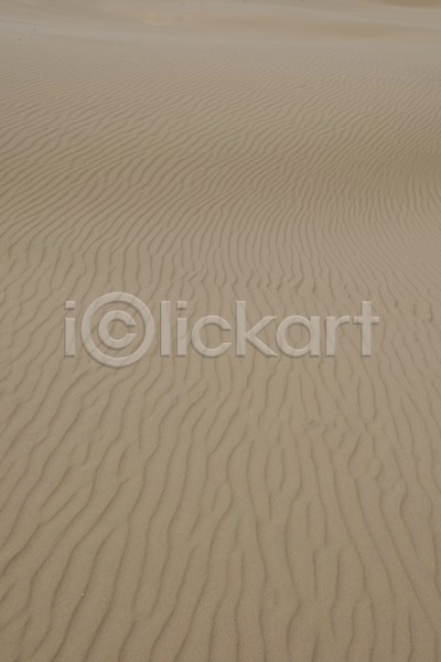사람없음 JPG 포토 해외이미지 갈색 그림자 내추럴 덴마크 맑음 모래 모래사장 모래언덕 묘사 백그라운드 부식 사막 사하라 선 스칸디나비아 여름(계절) 자연 질감 추상 파도 패턴 해외202004 황금