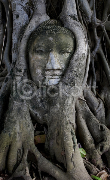 사람없음 JPG 포토 해외이미지 건축양식 나무 나뭇가지 머리 바위 아시아 옛날 초록색 태국 파란색 폐허 해외202004 회색