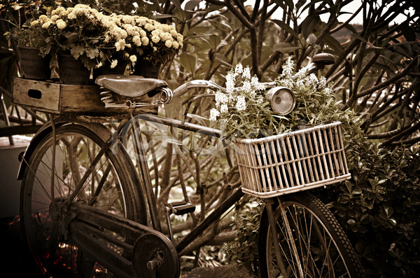 만족 클래식 사람없음 JPG 포토 해외이미지 공원 그런지 꽃 꽃무늬 나무 목재 바구니 복고 수확 식물 야외 옛날 자전거 장식 정원 해외202004
