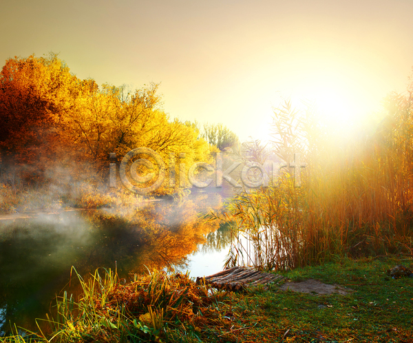 사람없음 JPG 포토 해외이미지 가을(계절) 가을풍경 강 반사 숲 야외 우크라이나 자연 주간 하늘 해외202004 햇빛