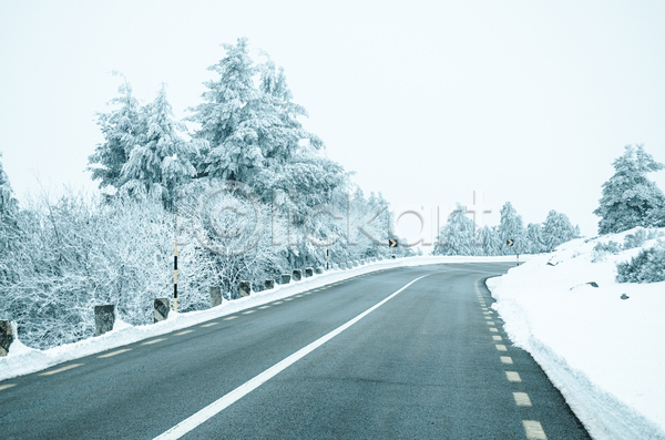 사람없음 JPG 포토 해외이미지 겨울 겨울풍경 나무 눈덮임 도로 야외 주간 해외202004