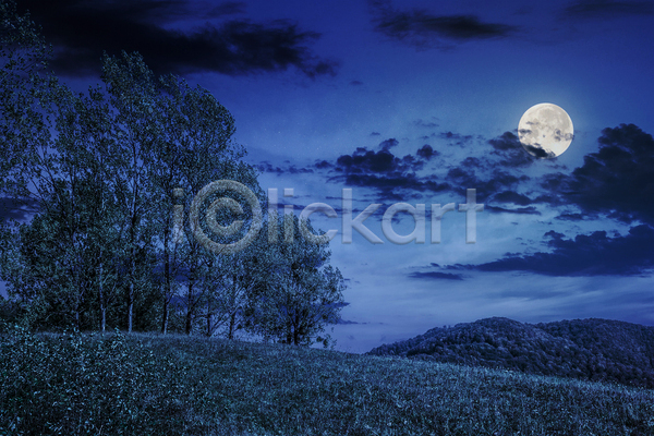 사람없음 JPG 포토 해외이미지 구름(자연) 나무 달 보름달 야간 야외 초원(자연) 파란색 풍경(경치) 하늘 해외202004