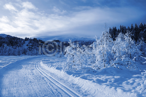 사람없음 JPG 포토 해외이미지 겨울 겨울풍경 길 나무 노르웨이 눈덮임 야외 자연 주간 해외202004