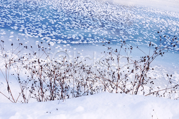 건조 추위 특별함 혼란 사람없음 JPG 포토 해외이미지 강 강가 겨울 계절 내추럴 냉동 덮개 맑음 묘사 백그라운드 백발 서리 서식 수로 식물 얼음 자연 질감 채널 파란색 파편 패턴 표면 하늘색 해외202004 햇빛 현상 흰색