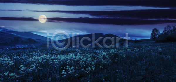 사람없음 JPG 포토 해외이미지 꽃밭 달 보름달 야간 야외 초원(자연) 파란색 풍경(경치) 하늘 해외202004
