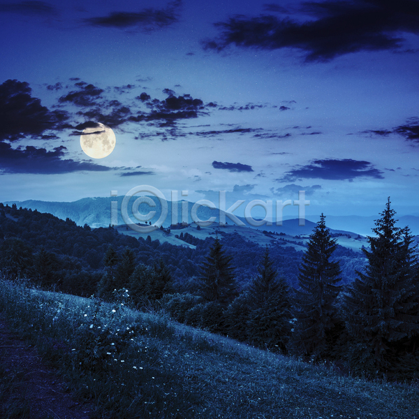 사람없음 JPG 포토 해외이미지 구름(자연) 나무 달 보름달 산 야간 야외 파란색 풍경(경치) 하늘 해외202004