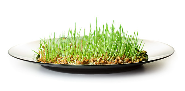 새로움 성장 신선 사람없음 JPG 포토 해외이미지 가로 개발 건강 고립 그림자 낟알 노란색 농업 농작물 모종 밀 바이탈 백그라운드 봄 뿌리 새싹 생태계 식물 씨앗 여름 오브젝트 유기농 음식 잎 자연 접시 채식주의자 초록색 컨셉 해외202004 해외포토 화초 흰색