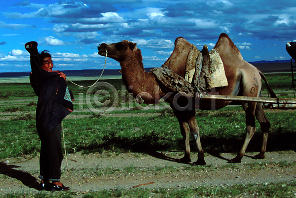 몽골인 사람 외국인 JPG 포토 구름(자연) 낙타 동물 몽골 아시아 야생동물 야외 외국문화 육지동물 자연 주간 척추동물 초원(자연) 포유류 풍경(경치) 하늘 해외 해외풍경