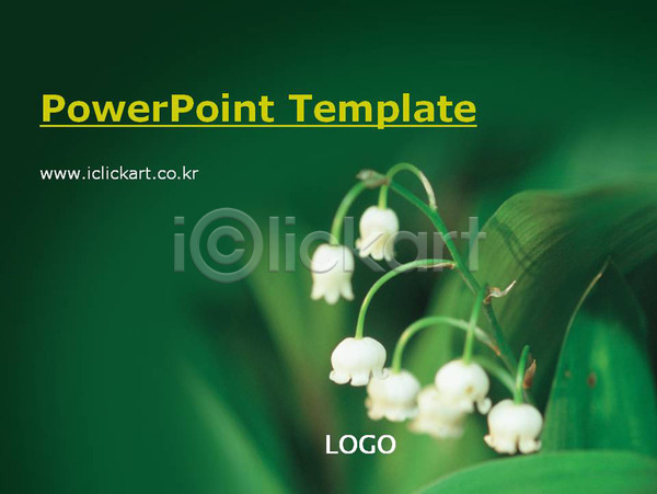 PPT 문서템플릿 템플릿 꽃 문서 봄꽃 비즈니스 식물 은방울꽃 자연 제안서 풍경(경치) 회사소개