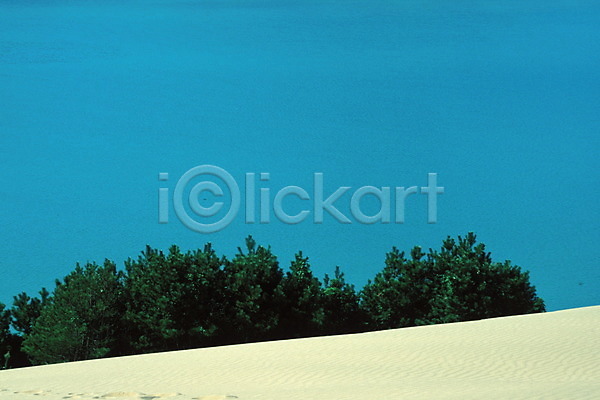 사람없음 JPG 포토 나무 모래 모래언덕 사막 야외 자연 주간 풍경(경치) 하늘 해외풍경