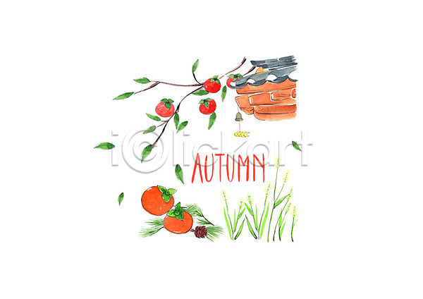 사람없음 PSD 일러스트 가을(계절) 가을풍경 감나무 강아지풀 기와지붕 나뭇잎 단감 번짐 붓터치 솔방울 솔잎 수채화(물감) 억새 처마