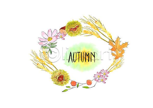 사람없음 PSD 일러스트 가을(계절) 가을풍경 낙엽 밤(견과류) 밤송이 번짐 보리 붓터치 산열매 수채화(물감) 코스모스(꽃)