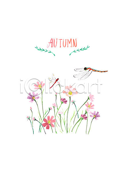 사람없음 PSD 일러스트 가을(계절) 가을풍경 꽃밭 두마리 번짐 붓터치 수채화(물감) 잠자리 코스모스(꽃)