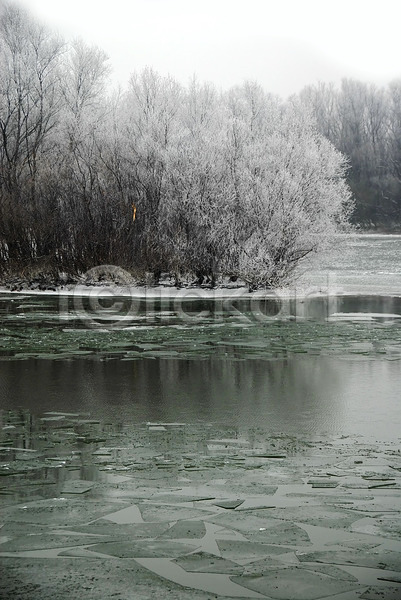 사람없음 JPG 포토 해외이미지 강 겨울 겨울풍경 나무 야외 얼음 주간 해외202004