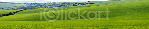 휴식 사람없음 JPG 포토 해외이미지 4월 거리 경사 긍정 나무 농업 농작물 땅 마을 맑음 모라비아 백그라운드 봄 선 숙이기 시골 야외 언덕 자연 체코 초록색 파노라마 파도 파종 풍경 해외202004 해외포토 햇빛