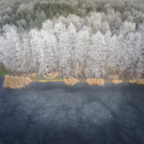 사람없음 JPG 포토 하이앵글 해외이미지 겨울 겨울풍경 나무 야외 전경 주간 폴란드 해외202004 호수
