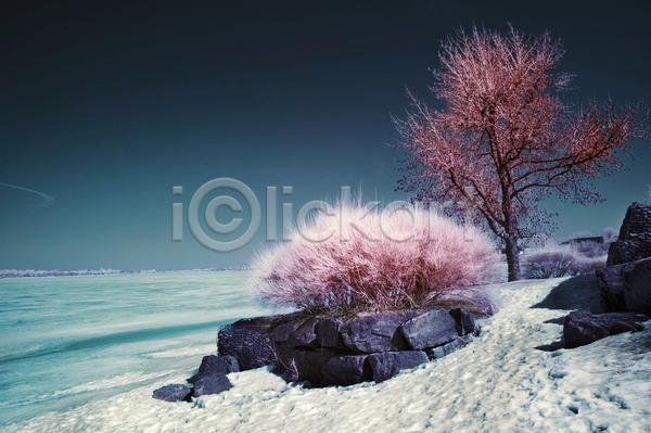사람없음 JPG 포토 해외이미지 겨울 겨울풍경 나무 야간 야외 자연 하늘 해변 해외202004