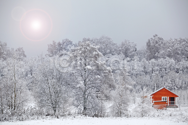 사람없음 JPG 포토 해외이미지 겨울 겨울풍경 나무 설원 야외 주간 주택 하늘 해외202004 햇빛