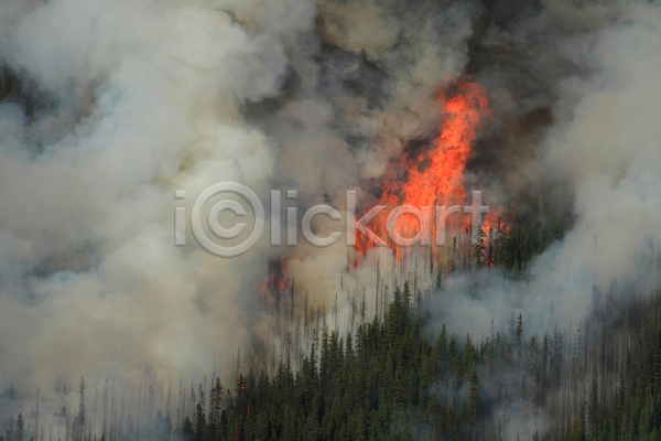 위험 사람없음 JPG 포토 해외이미지 나무 노란색 불 불꽃(불) 산 산불 숲 연기 연소 해외202004 화재