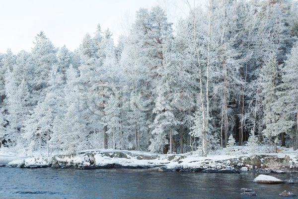 사람없음 JPG 포토 해외이미지 강 겨울 겨울풍경 나무 눈(날씨) 야외 자연 주간 핀란드 하늘 해외202004