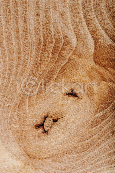 사람없음 JPG 근접촬영 포토 해외이미지 갈색 나무 나이테 목재 물푸레나무 백그라운드 질감 카피스페이스 해외202004