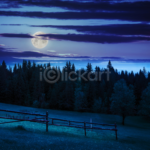 사람없음 JPG 포토 해외이미지 나무 달 보름달 야간 야외 초원(자연) 파란색 풍경(경치) 하늘 해외202004