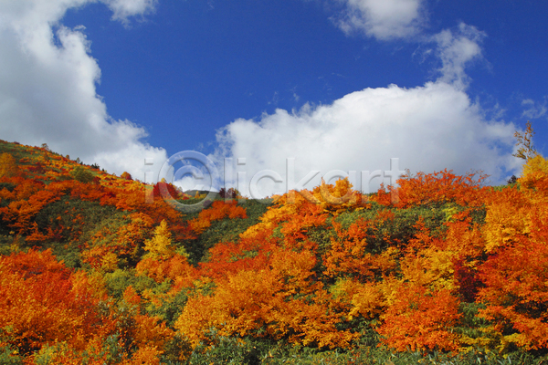 사람없음 JPG 포토 해외이미지 가을(계절) 가을풍경 구름(자연) 단풍 단풍나무 산 야외 이와테 자연 주간 풍경(경치) 하늘 해외202004