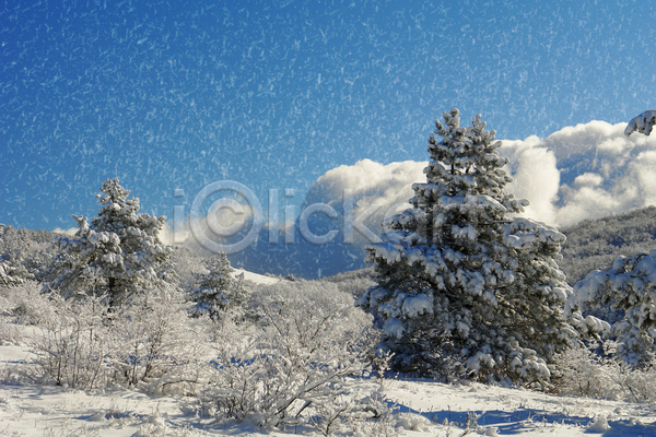 사람없음 JPG 포토 해외이미지 겨울 겨울풍경 구름(자연) 나무 눈(날씨) 야외 주간 하늘 해외202004